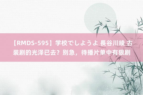 【RMDS-595】学校でしようよ 長谷川綾 古装剧的光泽已去？别急，待播片单中有狠剧