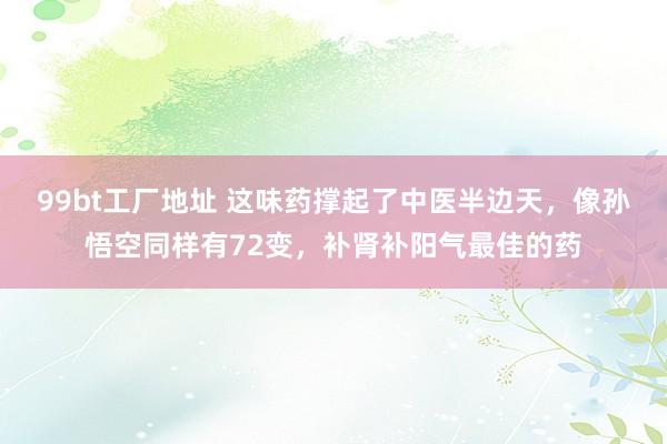 99bt工厂地址 这味药撑起了中医半边天，像孙悟空同样有72变，补肾补阳气最佳的药