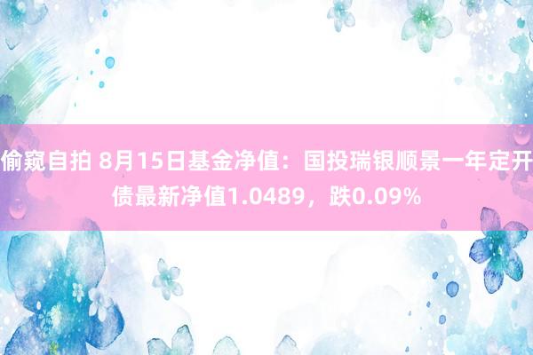 偷窥自拍 8月15日基金净值：国投瑞银顺景一年定开债最新净值1.0489，跌0.09%