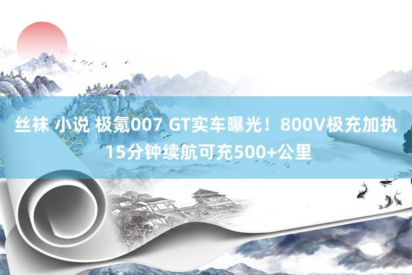 丝袜 小说 极氪007 GT实车曝光！800V极充加执 15分钟续航可充500+公里