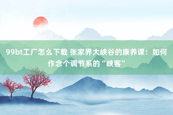 99bt工厂怎么下载 张家界大峡谷的康养课：如何作念个调节系的“峡客”