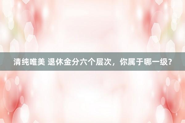 清纯唯美 退休金分六个层次，你属于哪一级？