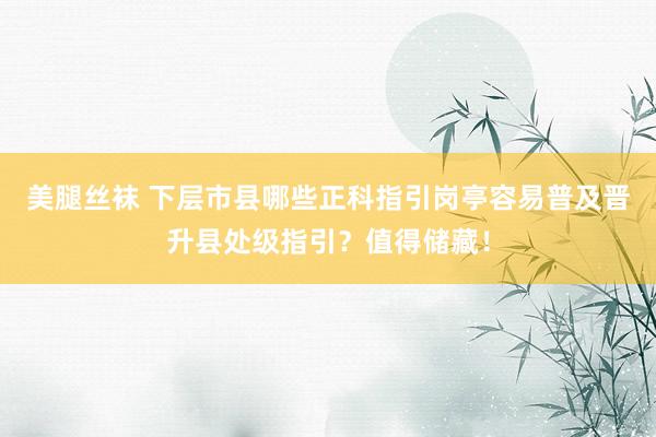 美腿丝袜 下层市县哪些正科指引岗亭容易普及晋升县处级指引？值得储藏！