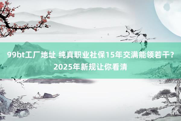 99bt工厂地址 纯真职业社保15年交满能领若干？2025年新规让你看清