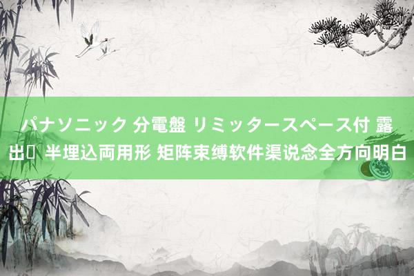 パナソニック 分電盤 リミッタースペース付 露出・半埋込両用形 矩阵束缚软件渠说念全方向明白
