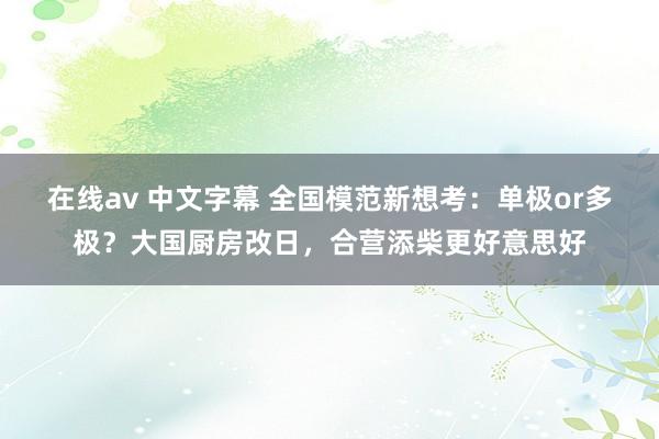 在线av 中文字幕 全国模范新想考：单极or多极？大国厨房改日，合营添柴更好意思好