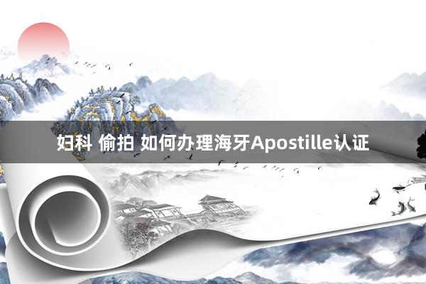 妇科 偷拍 如何办理海牙Apostille认证