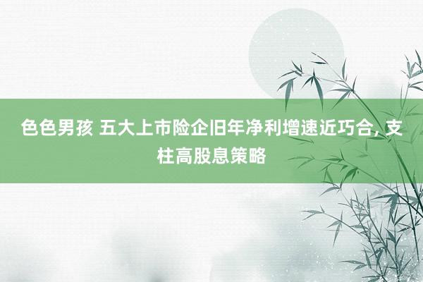 色色男孩 五大上市险企旧年净利增速近巧合， 支柱高股息策略