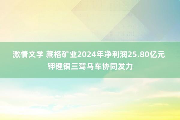 激情文学 藏格矿业2024年净利润25.80亿元 钾锂铜三驾马车协同发力