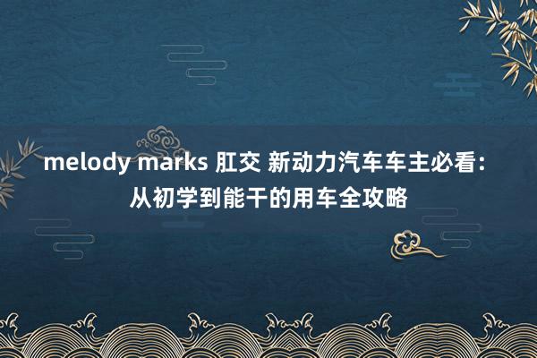 melody marks 肛交 新动力汽车车主必看: 从初学到能干的用车全攻略