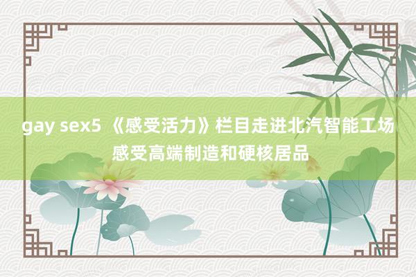 gay sex5 《感受活力》栏目走进北汽智能工场 感受高端制造和硬核居品